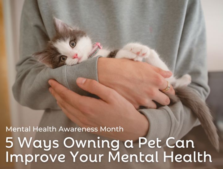 5 Ways Owning a Pet Can Improve Your Mental Health